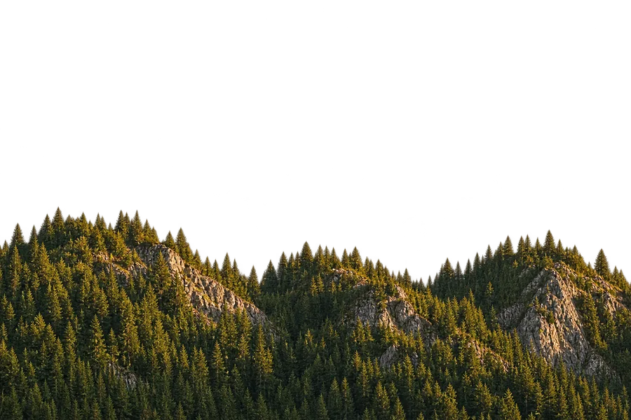 Middle forested ridge